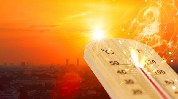cel mai fierbinte oras din lume unde asfaltul se topeste si temperaturile sar de 48 c in ianuarie