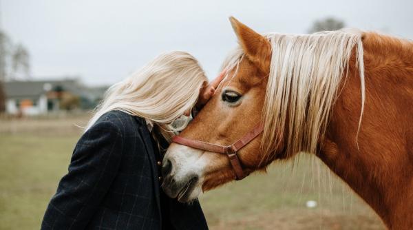 caii pot mirosi frica oamenilor si devin mai precauti in jurul pesoanelor speriate