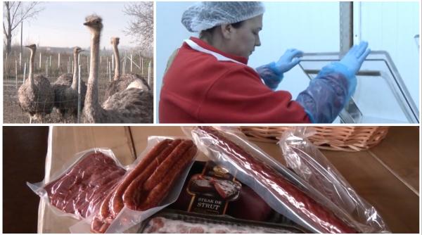 Cea mai mare afacere cu struți din România a fost începută de un cuplu, cu darul de nuntă, acum 15 ani. Cât costă micii sau pastrama