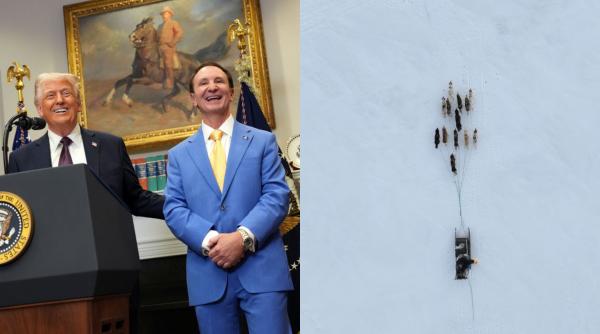 invitatia pentru emisarul lui trump la o cursa de sanii trase de caini in groenlanda a fost anulata