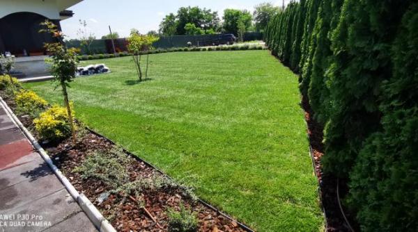 arta si stiinta amenajarilor de gradini in 2026 ghidul complet pentru un spatiu verde rezistent sustenabil si estetic