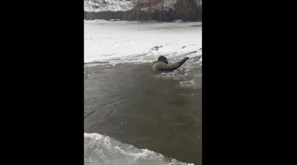 clipe dramatice in gherla doi copii de 4 si 5 ani au cazut in raul somes cu sania unul dintre ei a fost salvat de un adolescent