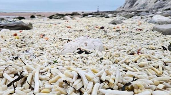O plajă din Anglia a fost acoperită de cartofi prăjiți congelați și ceapă: „Parcă e o insulă tropicală”