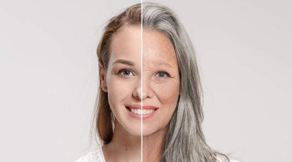 cele doua varste la care organismul imbatraneste brusc nu gradual asa cum ne asteptam