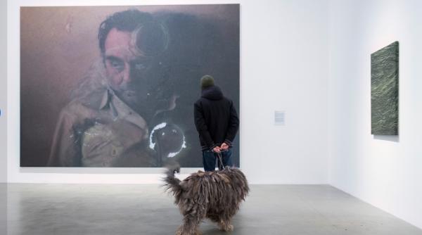 experiment inedit in italia oamenii au mers la muzeu insoti de cainii lor