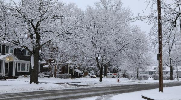 pot exploda copacii la minus 30 de grade ce se intampla de fapt in valul de frig arctic