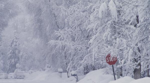 Alerte meteo de vreme rea: Cod portocaliu și galben de zăpadă și ploi torențiale. HARTA județelor afectate