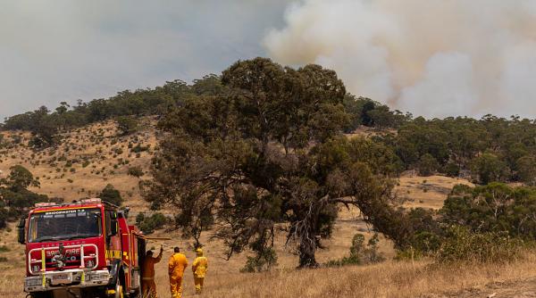 Australia fierbe la 50 de grade Celsius. Oamenii din sud-estul ţării au fost evacuaţi din cauza incendiilor de vegetaţie
