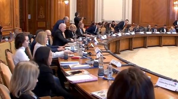 Mediul de afaceri și decidenții politici, față în față: Companiile au pus pe masă toate problemele, cu ce soluții a venit Guvernul