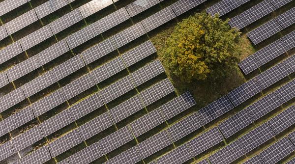 Producţia de electricitate din eolian şi solar a depăşit, în premieră, combustibilii fosili în majoritatea statelor UE