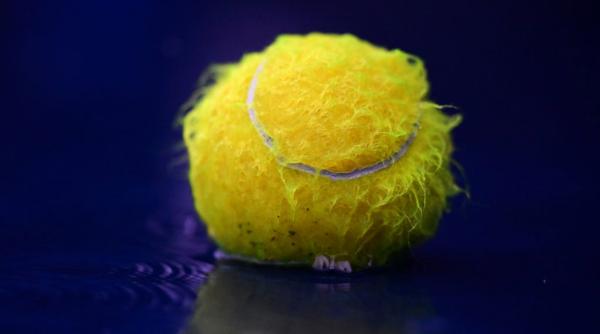 un gest mic care schimba tot cum poti sa salvezi arici si pasari in gradina ta cu mingi de tenis lasate prin curte pe timpul iernii