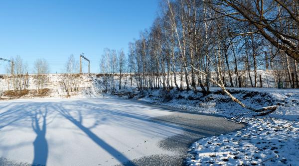 situatia imposibila in care s a trezit o femeie a privit cum cei 3 baieti ai ei mor intr un iaz inghetat fara sa i poata salva tipau