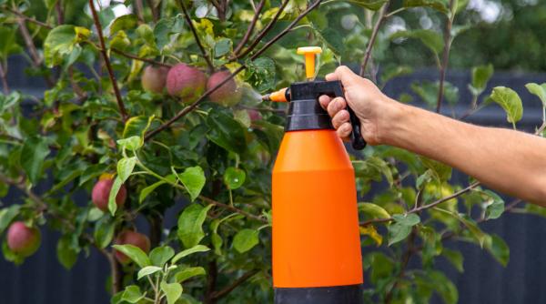 Majoritatea merelor vândute în Europa conțin „cocktailuri de pesticide”, arată un raport al ONG-urilor de mediu