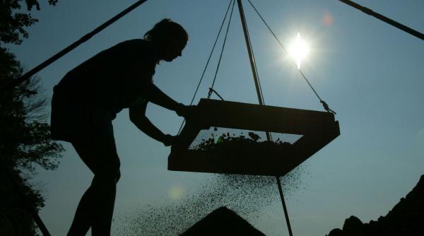 unelte din piatra sofisticate vechi de 160 000 de ani au fost descoperite in china cercetatorii spera sa gaseasca adn pe ele