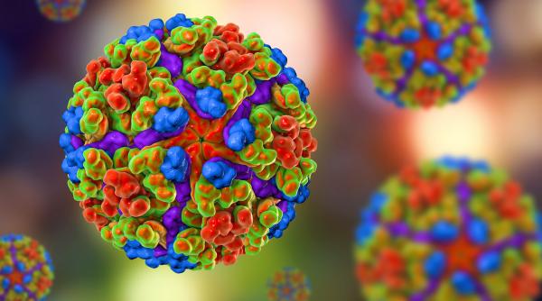 Alertă sanitară în România: Primul caz de virus Chikungunya din țara noastră, confirmat la un bărbat venit din Africa. Ce simptome are