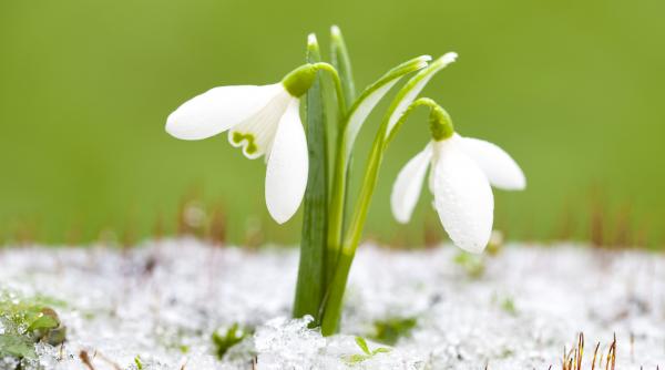 cum va fi vremea pana in martie prognoza meteo pentru ultima luna de iarna