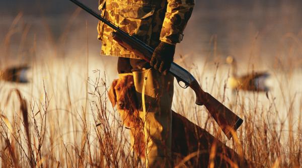 un barbat a fost impuscat accidental la o partida de vanatoare in zona pietroasele din buzau