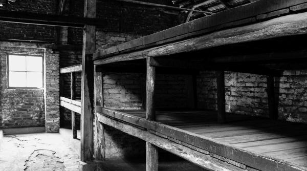 S-a născut în infern și a supraviețuit. Povestea Ilanei, femeia care a venit pe lume în lagărul de concentrare și a sfidat Holocaustul