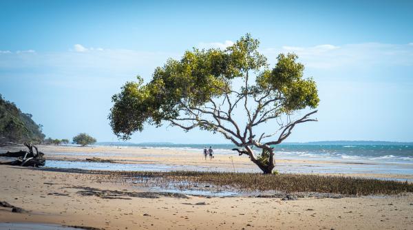 solutia nu este sa pedepsim animalul moartea unei tinere pe o insula ii face pe localnici sa se teama de o eutanasiere in masa