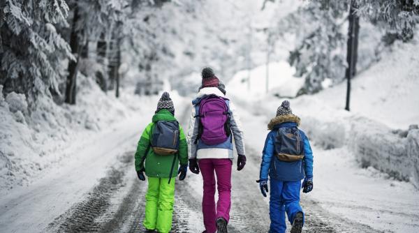 cursurile au fost suspendate sau mutate online pentru elevii din patru judete din cauza gerului