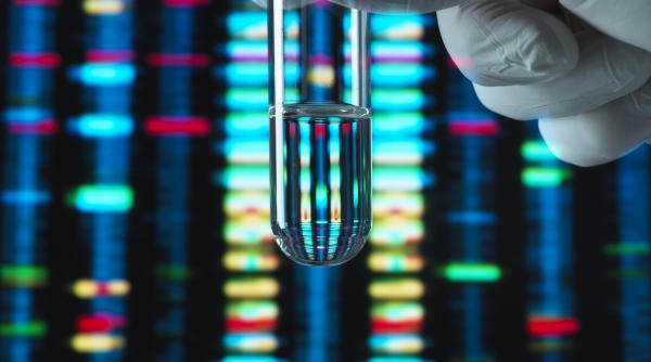 al doilea cod genetic este analizat in premiera la nivel molecular de cercetatori romani din iasi