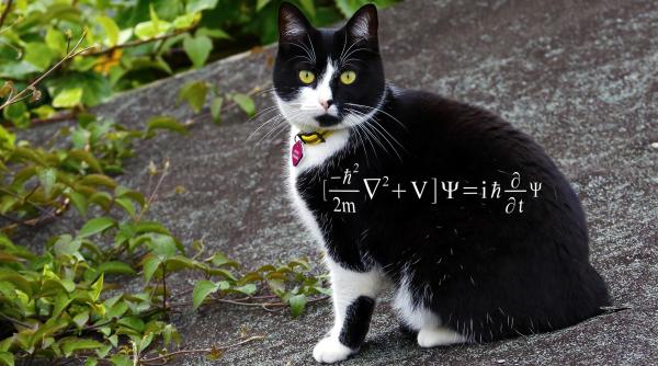 fizicienii au reusit sa aduca mii de atomi intr o stare de superpozitie similara celebrului experiment pisica lui schrodinger