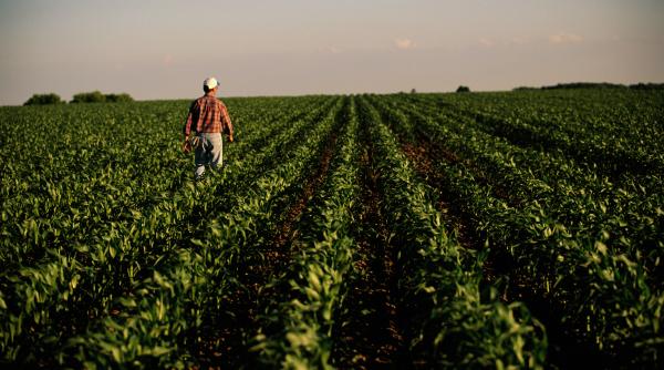 ministerul agriculturii anunta exceptii de la controale si sanctiuni pentru fermieri care sunt conditiile