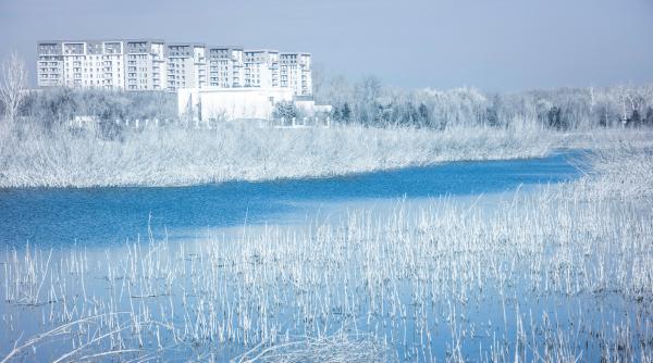 Prognoza meteo specială pentru București: Temperaturi de până la -9 grade pe timpul nopții. De când se încălzește