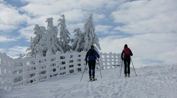 cea mai cunoscuta partie de schi din apuseni functioneaza in clandestinitate o primarie din bihor revendica terenurile de la vartop