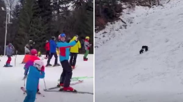 O ursoaică însoțită de doi pui a fost observată lângă o pârtie de schi din Poiana Braşov. Turiştii au filmat-o de la distanţă