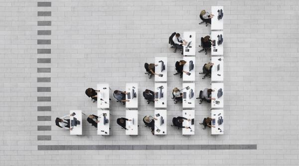 schimbarile propuse de ministerul finantelor pentru microintreprinderi ce se intampla cu cele care au un singur angajat