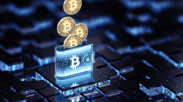 Bitcoin a scăzut sub 67.000 de dolari, la jumătate faţă de maximul istoric atins în 2024