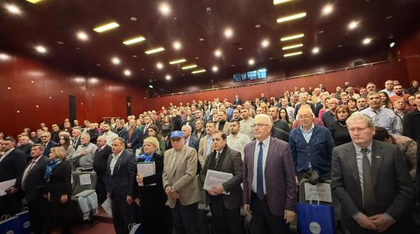 dan voiculescu resursa strategica a familiei umaniste