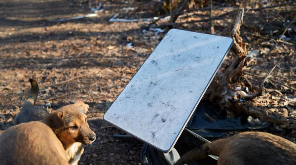 catastrofa starlink pentru armata rusa in ucraina militarii ucraineni avertizeaza ca atacurile cu drone nu s au redus semnificativ