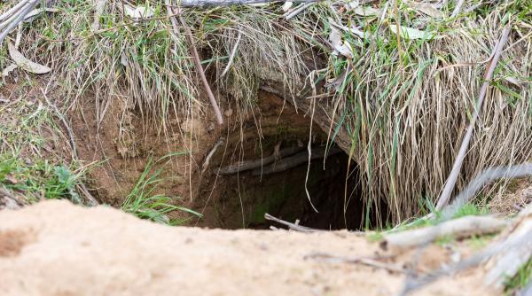 un tunel secret vechi de 6 000 de ani a fost descoperit in germania initial s a crezut ca este vorba de un mormant