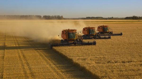 Agricultura românească, prinsă între lipsa finanțării și birocrația statului