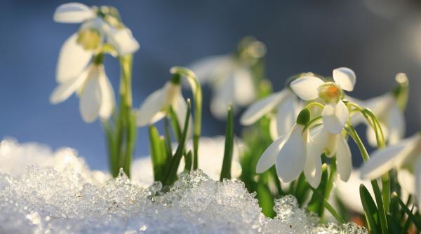 Meteorologii anunță când scăpăm de ger. Prognoza pentru următoarele patru săptămâni