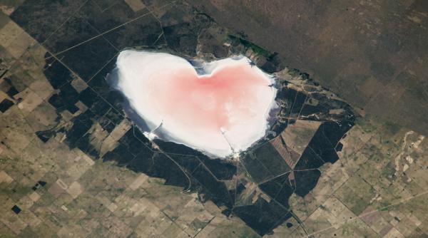 Un astronaut a descoperit o „inimă” sărată și roz pe Pământ, care își schimbă culoarea: NASA a publicat imaginea de Valentine's Day