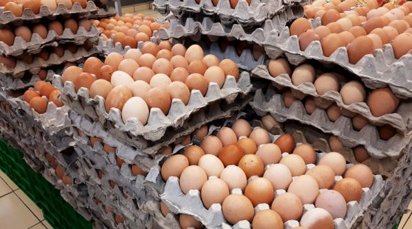 Francezii au consumat un număr record de ouă, în 2025: 237, în medie, de fiecare locuitor