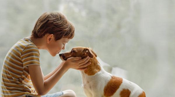  Materia opțională „Ora cu și pentru animale” va fi introdusă în școlile din România