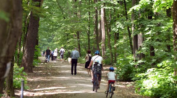 pierdem singura mare padure a bucurestiului petitie pentru declararea padurii baneasa arie naturala protejata