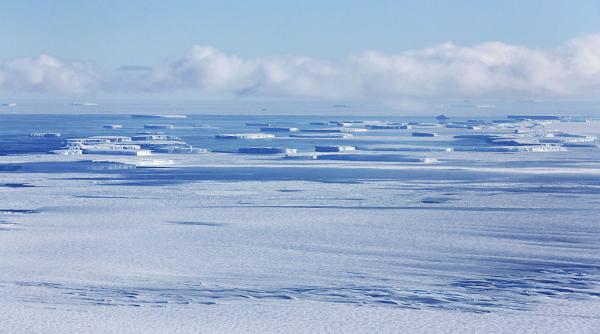 Drojdia crescută în Antarctica are proprietăți anticancer și antiîmbătrânire. Anunțul făcut de un om de știință bulgar