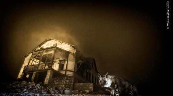 „Exact acolo”. Povestea fotografului care a așteptat zece ani pentru fotografia perfectă, care i-a adus și un premiu important