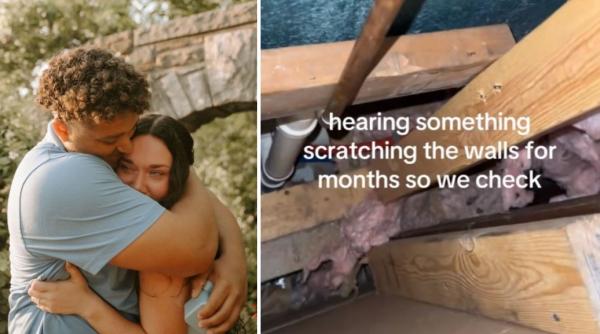 luni intregi un cuplu a auzit zgarieturi in peretii casei iar cand a decis sa faca verificari a fost gasit un musafir nepoftit