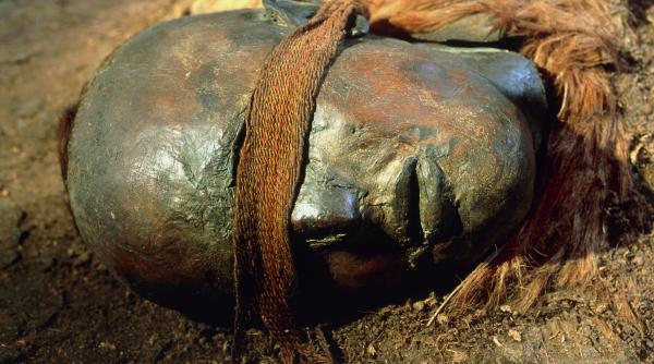 misterul mumiilor din mlastinile germaniei tehnologia moderna a reinterpretat cauza mortii si viata triburilor din epoca bronzului