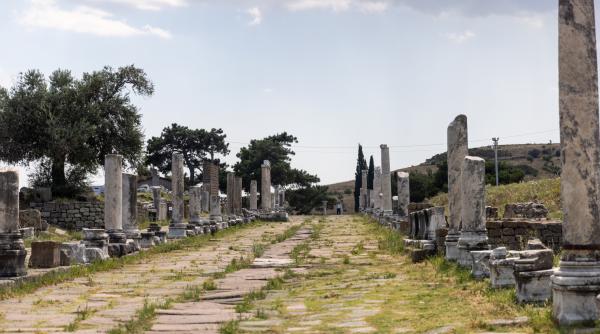 oamenii de stiinta au descoperit primele dovezi fizice ca romanii foloseau fecale umane pe post de medicament