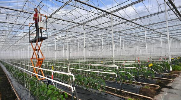 Noi precizări privind taxa pe sere. Ministrul Agriculturii: "Termenul a fost prorogat. Proiectul ajunge în Parlament”