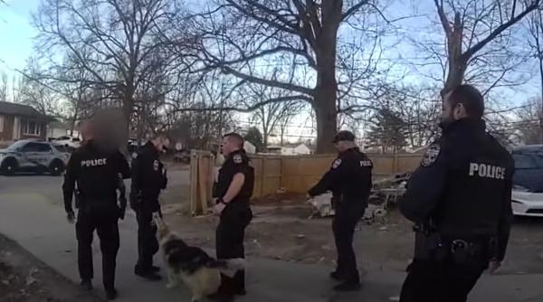 Un câine i-a condus pe polițiști direct la un copil de 3 ani dispărut. Momentul, surprins de camerele video