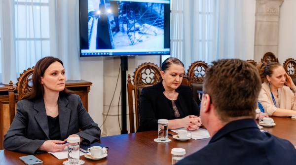 ororile de la suraia administratia prezidentiala intervine in cazul uciderii cainilor din adaposturi este o problema sistemica