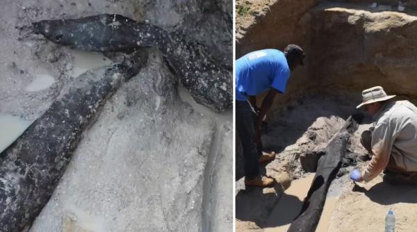 cea mai veche structura din lemn din lume a fost construita cu cel putin 200 000 de ani inainte de aparitia lui homo sapiens